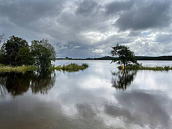 Ireland Could Face Climate Fin...